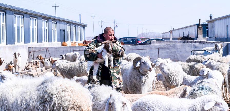 易地搬遷讓村民“住得好、能致富”