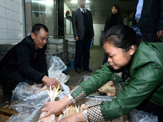 江西宰殺、冷凍積壓禽肉 緩解H7N9禽流感影響