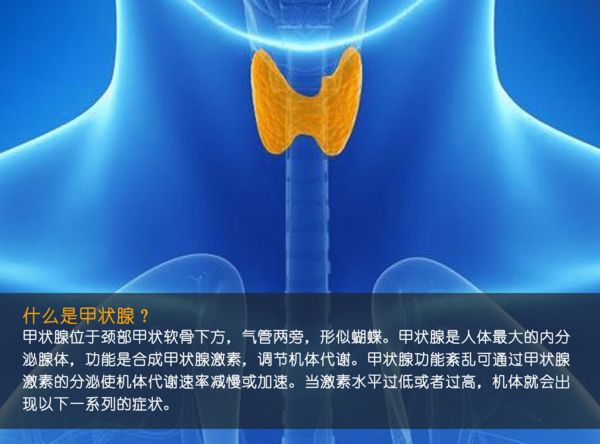 關(guān)注甲狀腺健康，你應(yīng)該知道的那些事