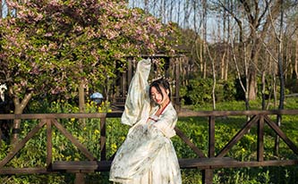 徜徉櫻花花海，來(lái)場(chǎng)動(dòng)漫之旅