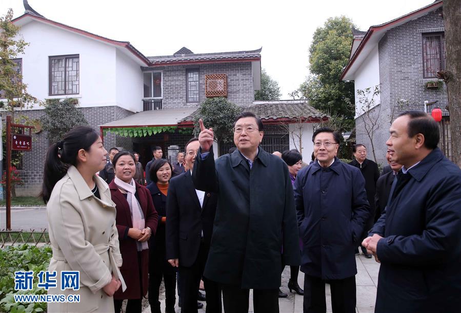 這是11月22日，張德江來(lái)到成都郫縣青杠樹(shù)村，了解村民委員會(huì)工作情況。 新華社記者 劉衛(wèi)兵 攝 