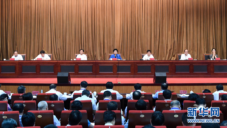 6月25日，全國(guó)民族團(tuán)結(jié)進(jìn)步創(chuàng)建經(jīng)驗(yàn)交流現(xiàn)場(chǎng)會(huì)在內(nèi)蒙古興安盟召開(kāi)，中共中央政治局委員、國(guó)務(wù)院副總理劉延?xùn)|出席會(huì)議并講話。 新華社記者 陳曄華 攝