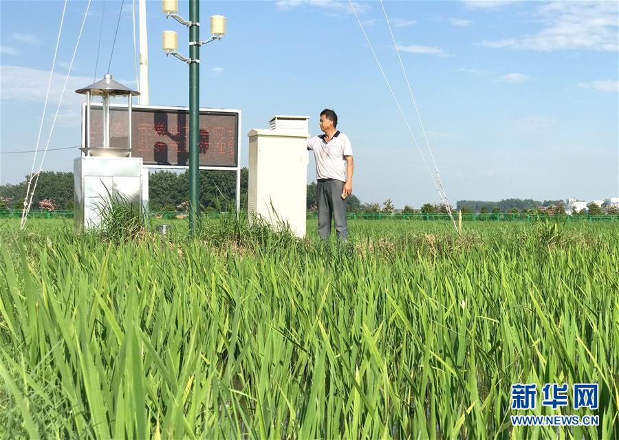 （新華全媒頭條·紀(jì)念改革開放40年特稿·圖文互動(dòng)）（6）向著新航程揚(yáng)帆奮進(jìn)！——從小崗精神看中國改革開放40年