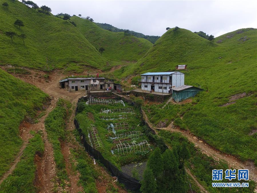 （新華全媒頭條·圖文互動(dòng)）（3）一個(gè)人，一座山——劉真茂的生命守望
