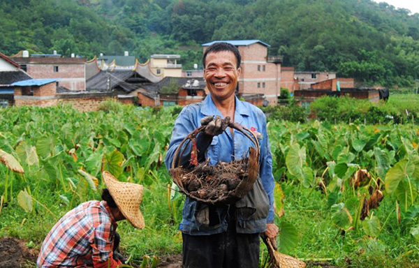 秋收的中國(guó)，你想象不到的美！但更美的是……