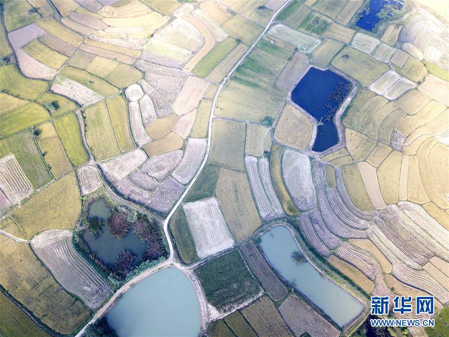 （新華全媒頭條·壯闊東方潮　奮進(jìn)新時代——慶祝改革開放40年·圖文互動）（2）小崗，與時代同行——“中國農(nóng)村改革第一村”40年變遷的改革啟示