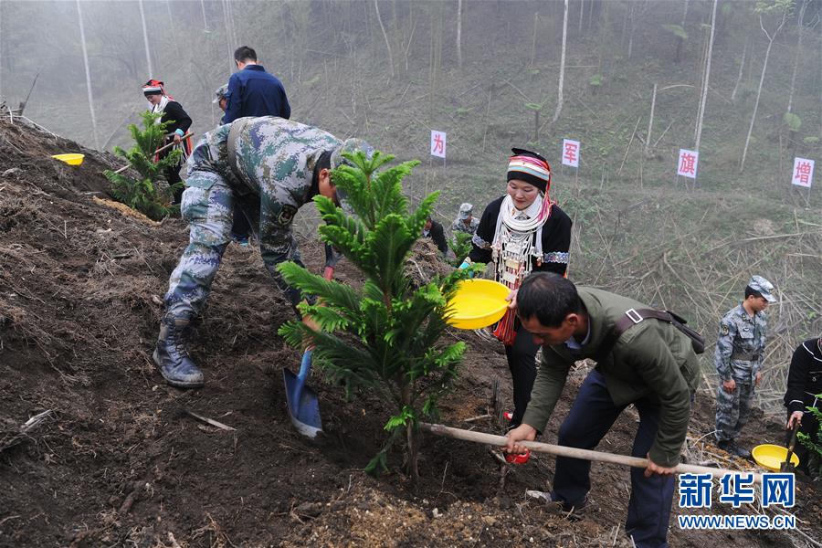 （圖文互動）（6）和平年代，離死神最近的人——南部戰(zhàn)區(qū)陸軍云南掃雷大隊邊境掃雷排爆記事