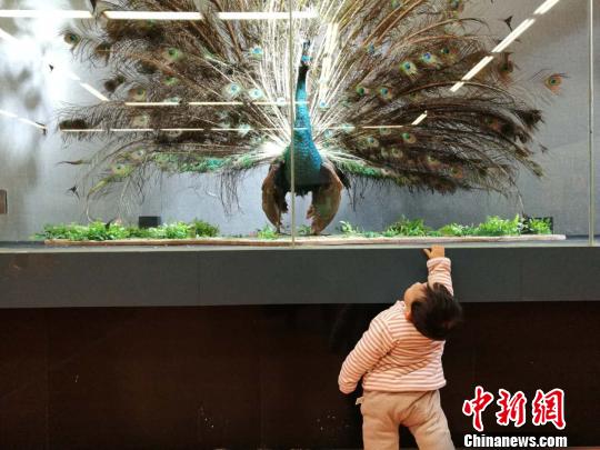 圖為展覽現(xiàn)場?！『h(yuǎn)航 攝
