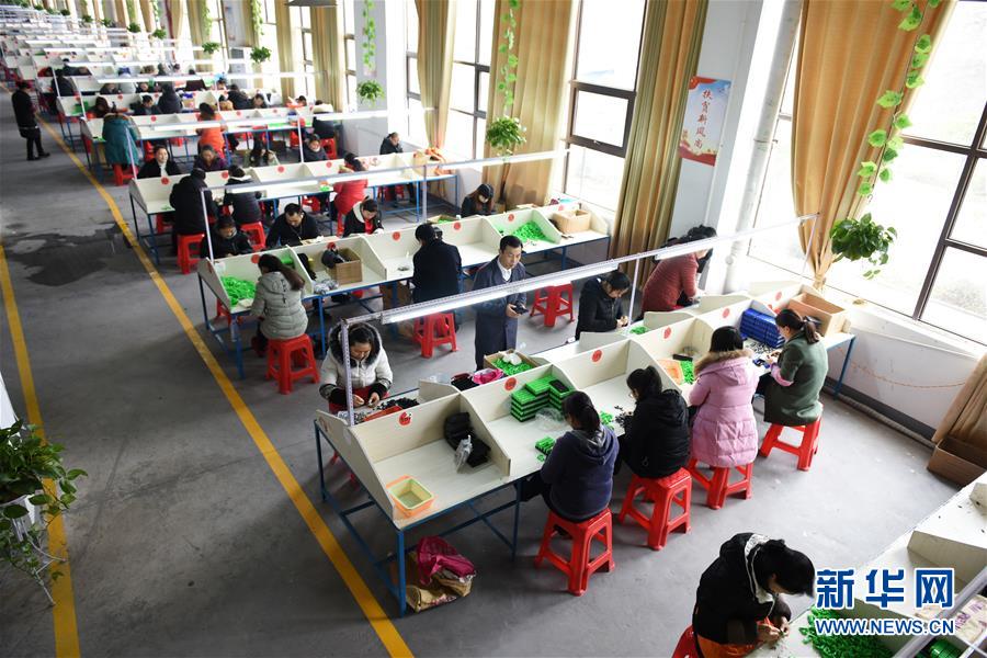 （在習(xí)近平新時(shí)代中國特色社會(huì)主義思想指引下——新時(shí)代新作為新篇章·圖文互動(dòng)）（5）“搬遷到哪里，服務(wù)就延伸到哪里”——貴州推進(jìn)易地扶貧搬遷“后半篇文章” 