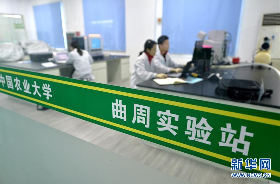 （愛(ài)國(guó)情 奮斗者·圖文互動(dòng)）（3） “解民生之多艱，育天下之英才”——中國(guó)農(nóng)大師生扎根田野書(shū)寫(xiě)奉獻(xiàn)之歌