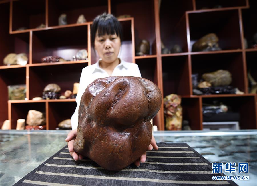 (圖文互動(dòng))(6)黑龍江海倫發(fā)現(xiàn)罕見(jiàn)古生物群