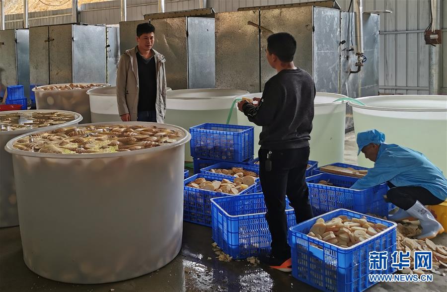 （決戰(zhàn)決勝脫貧攻堅·圖文互動）掛牌督戰(zhàn)，一個都不能少——江西確保剩余9.6萬貧困人口全部脫貧