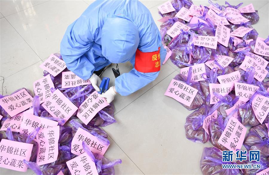 （習(xí)近平致敬的戰(zhàn)“疫”英雄·志愿者篇·圖文互動）（11）他們，微光成炬照征程