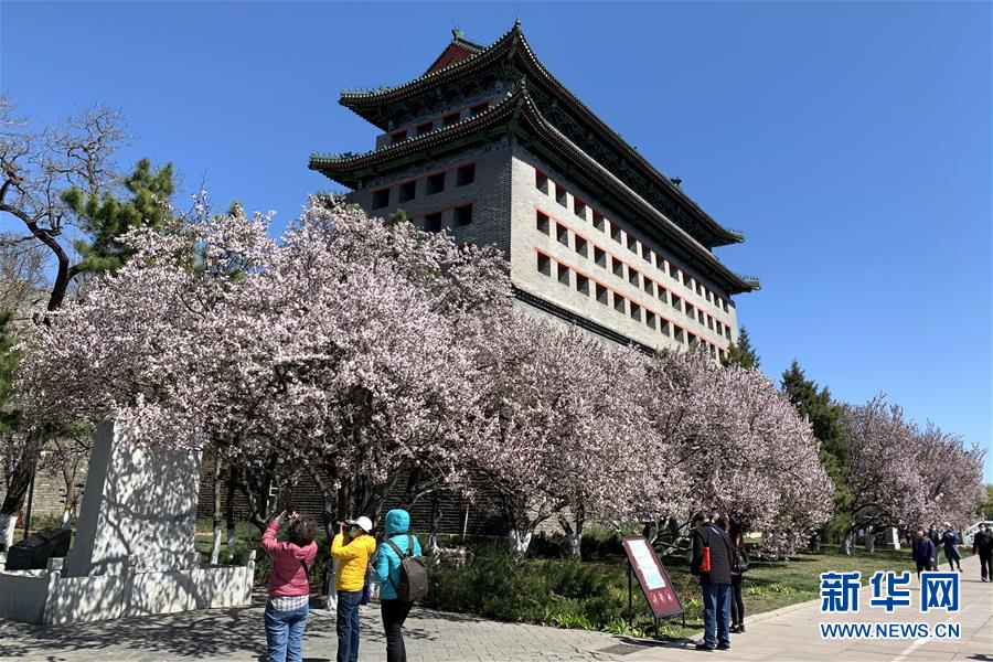 （新華全媒頭條·圖文互動(dòng)）（5）永遠(yuǎn)的夢想 永恒的追求——寫在北京世園會開幕一周年之際