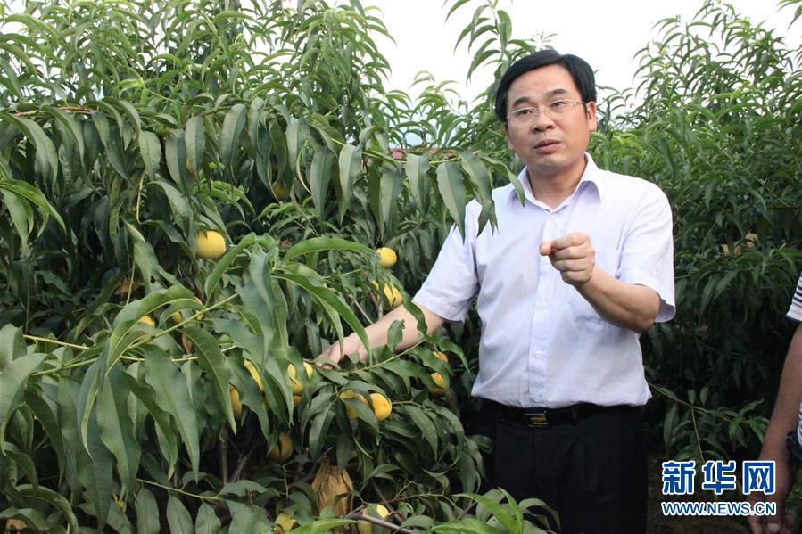 （圖文互動）（2）“為脫貧而來，為脫貧而去”——追記湖南炎陵縣委原書記黃詩燕 