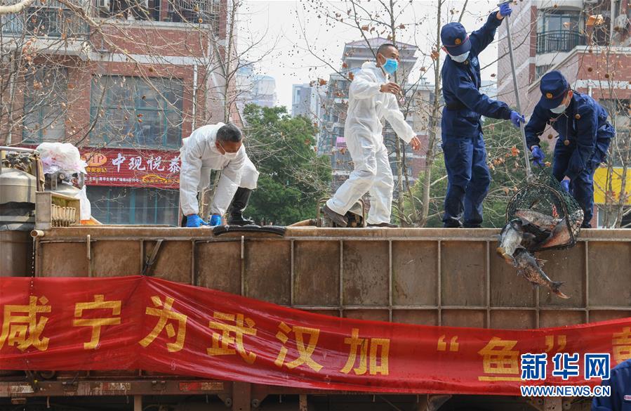 （新華全媒頭條·圖文互動）（12）從人民中汲取磅礴力量——習近平總書記同出席2020年全國兩會人大代表、政協(xié)委員共商國是紀實