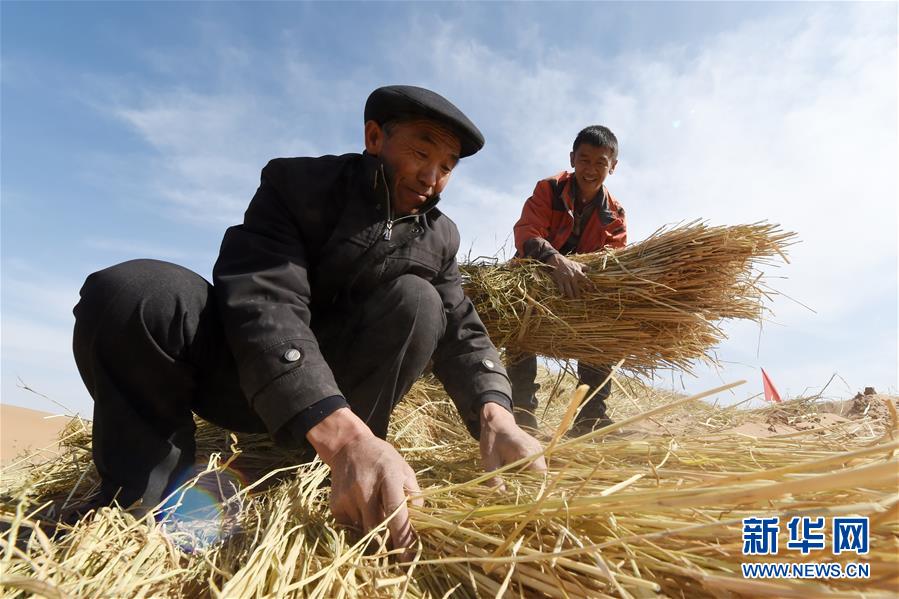 （在習(xí)近平新時(shí)代中國特色社會主義思想指引下——新時(shí)代新作為新篇章·習(xí)近平總書記關(guān)切事·圖文互動）（5）綠色映底蘊(yùn)，山水見初心——生態(tài)優(yōu)先、綠色發(fā)展持續(xù)造福群眾美好生活