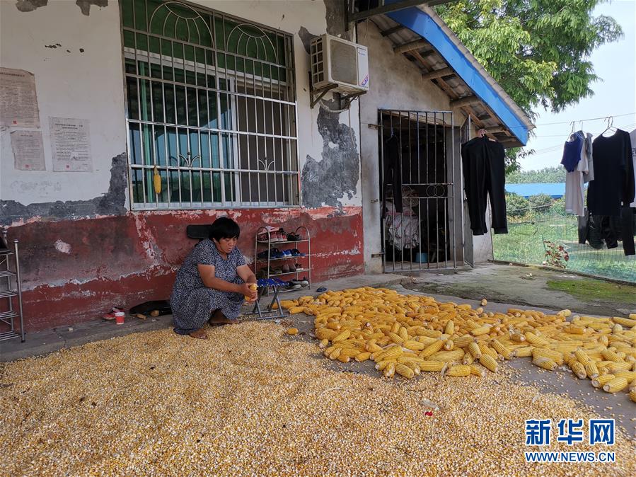 （新華視點(diǎn)·聚焦餐桌外的浪費(fèi)·圖文互動(dòng)）（3）農(nóng)戶儲(chǔ)糧損失達(dá)8%！設(shè)施普遍簡(jiǎn)陋，蟲害霉變堪憂
