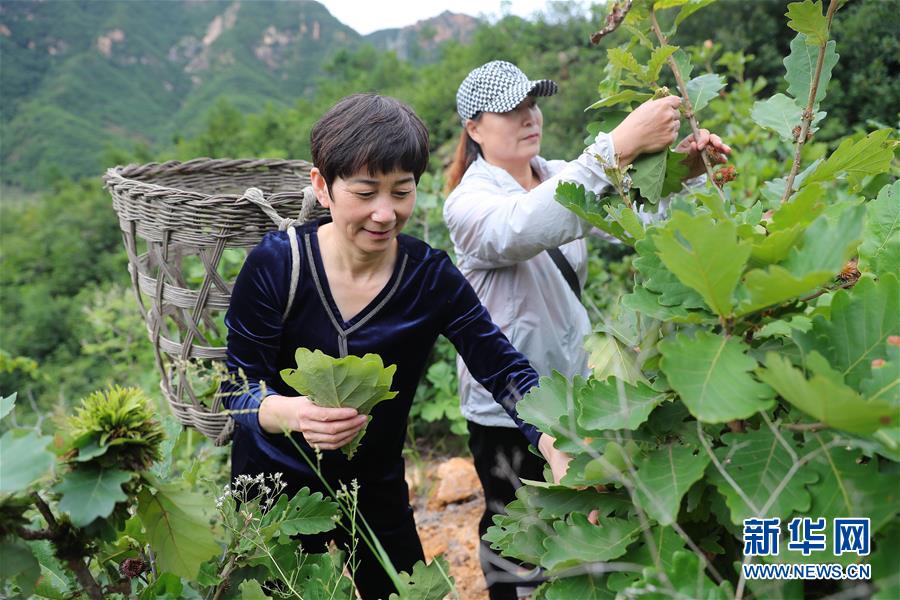 （新華全媒頭條·走向我們的小康生活·圖文互動(dòng)）（7）長(zhǎng)城腳下，小康村串成“珍珠鏈”