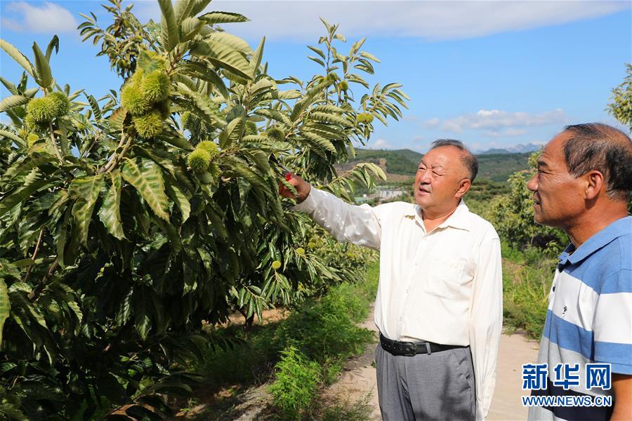 （新華全媒頭條·走向我們的小康生活·圖文互動(dòng)）（11）長(zhǎng)城腳下，小康村串成“珍珠鏈”