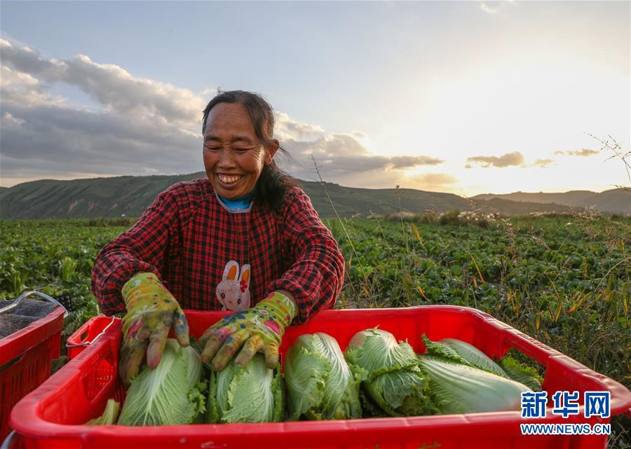 （新華全媒頭條·決戰(zhàn)決勝脫貧攻堅·督戰(zhàn)未摘帽貧困縣·圖文互動）（1）不獲全勝，決不收兵——全國52個掛牌督戰(zhàn)貧困縣脫貧攻堅紀(jì)實(shí)