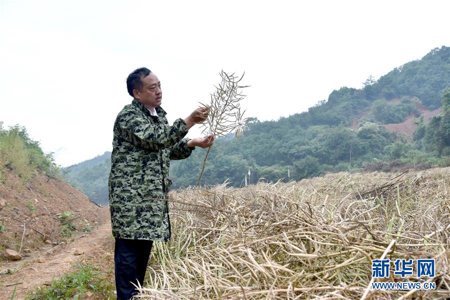 （代表委員履職·圖文互動(dòng)）（1）“我是農(nóng)民代表，始終關(guān)注農(nóng)村”——全國(guó)人大代表沈昌健的履職故事