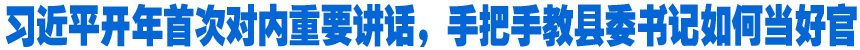 習(xí)近平開年首次對內(nèi)重要講話，手把手教縣委書記如何當(dāng)好官