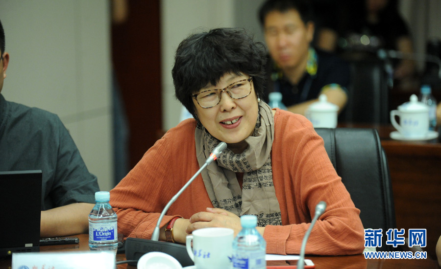 陳小波：新華人對歷史的擔(dān)當(dāng)、情感與良知
