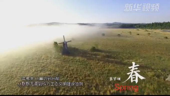 塞罕壩：那一抹綠色，走進越來越多人心里