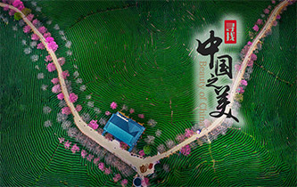 江山如畫，想把春的故事講給你聽