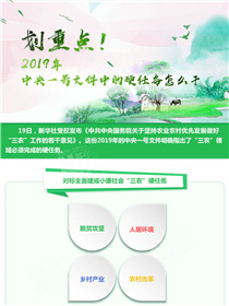 劃重點！2019年中央一號文件中的硬任務(wù)怎么干