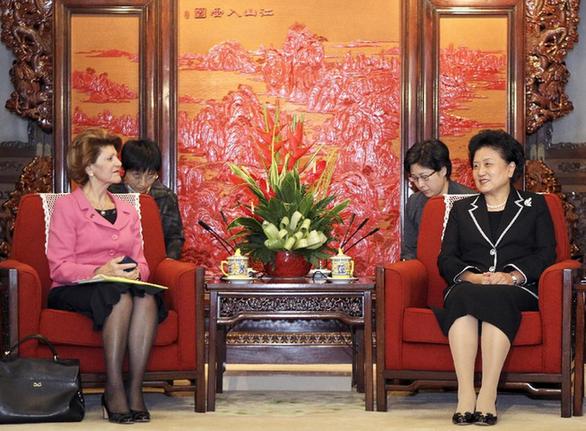 劉延?xùn)|會(huì)見歐盟委員會(huì)教育、文化、語言多樣性及青年事務(wù)委員瓦西利烏