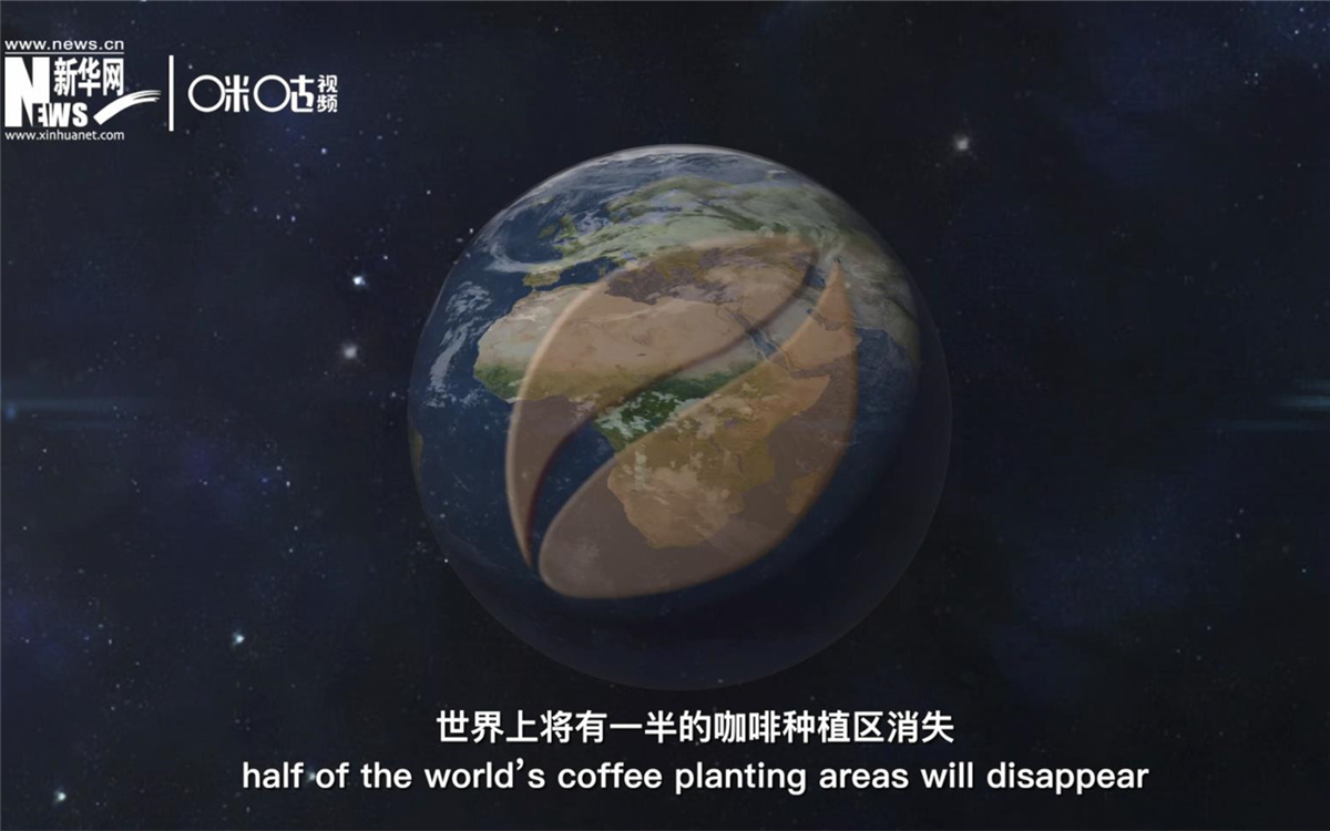 科學(xué)家預(yù)測到三十年后，世界上將有一半的咖啡種植區(qū)消失