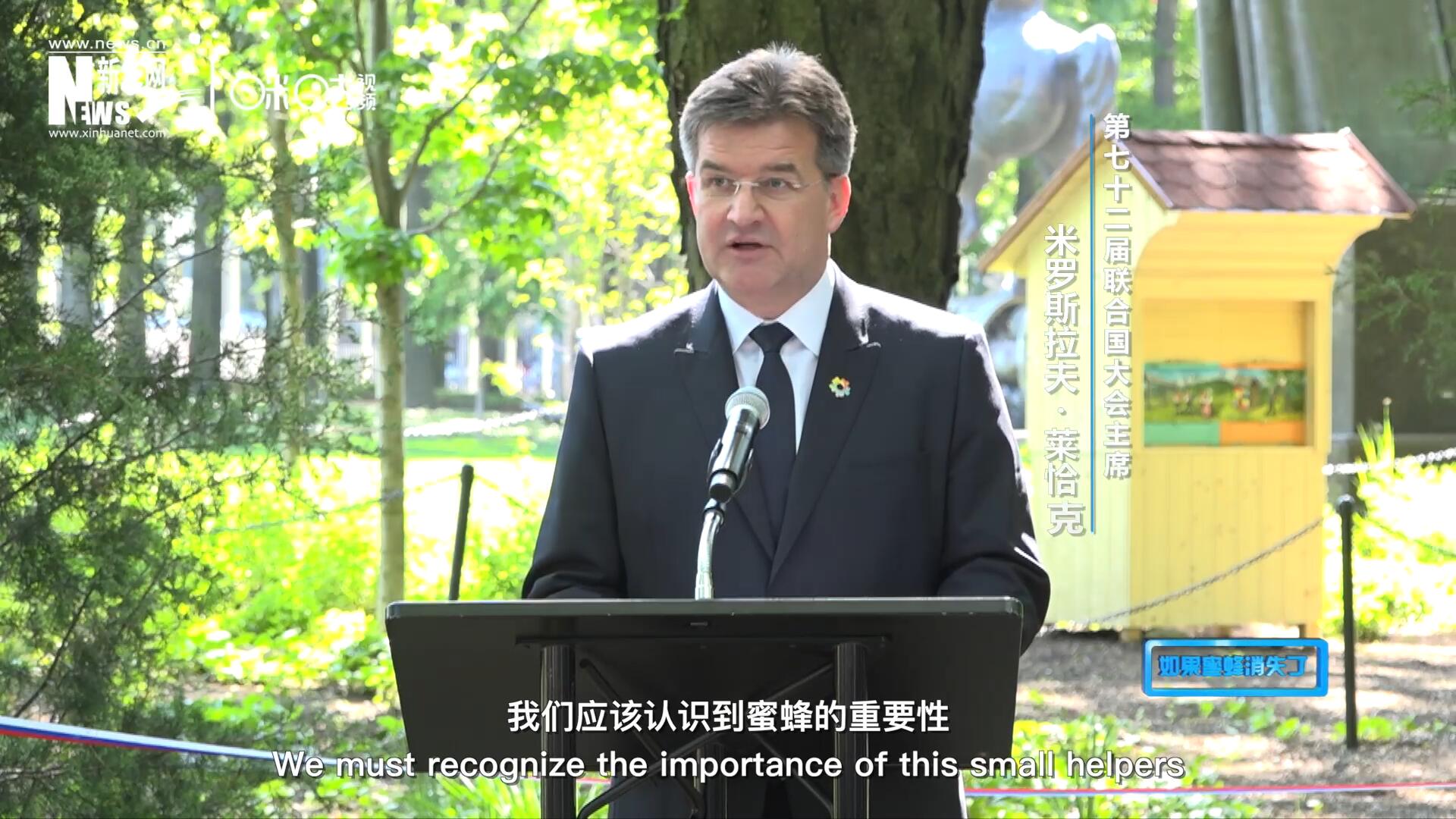 我們應(yīng)該認(rèn)識(shí)到蜜蜂的重要性，所以我們用“世界蜜蜂日”提高大家保護(hù)蜜蜂的意識(shí)，并且用實(shí)際行動(dòng)去保護(hù)蜜蜂