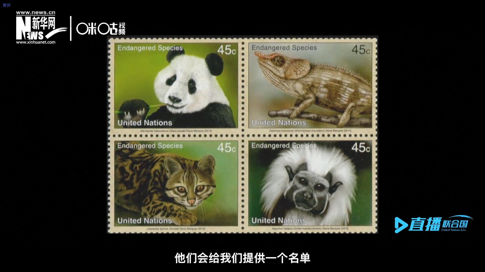 CITES（瀕危野生動(dòng)植物種國(guó)際貿(mào)易公約）會(huì)給聯(lián)合國(guó)郵政設(shè)計(jì)師提供一個(gè)名單，雙方共同合作在附錄中找到名單中應(yīng)該受到關(guān)注的動(dòng)物。
