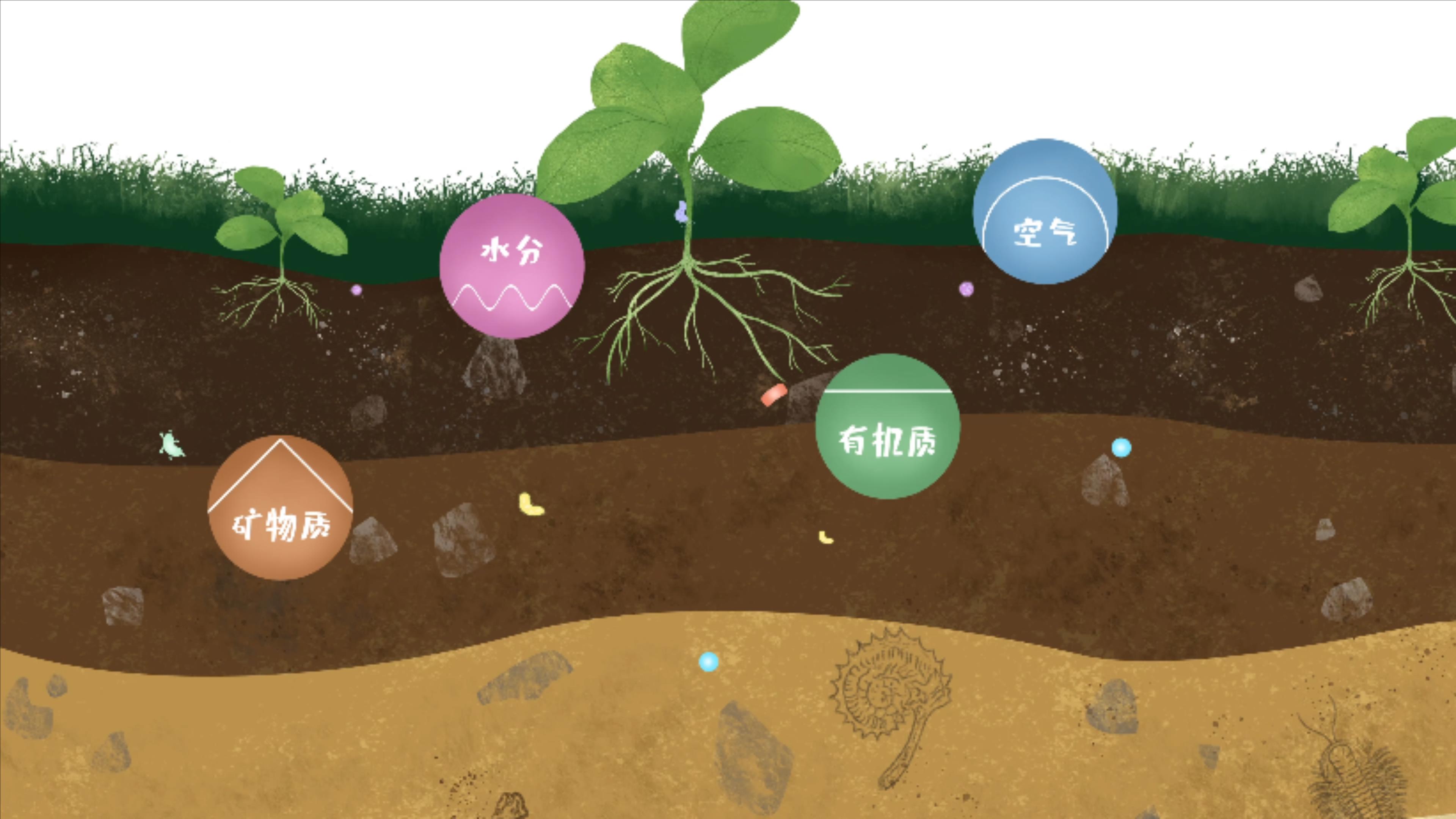 土壤由礦物質(zhì)、有機(jī)質(zhì)、水分、空氣及包括微生物在內(nèi)的生物體等組成