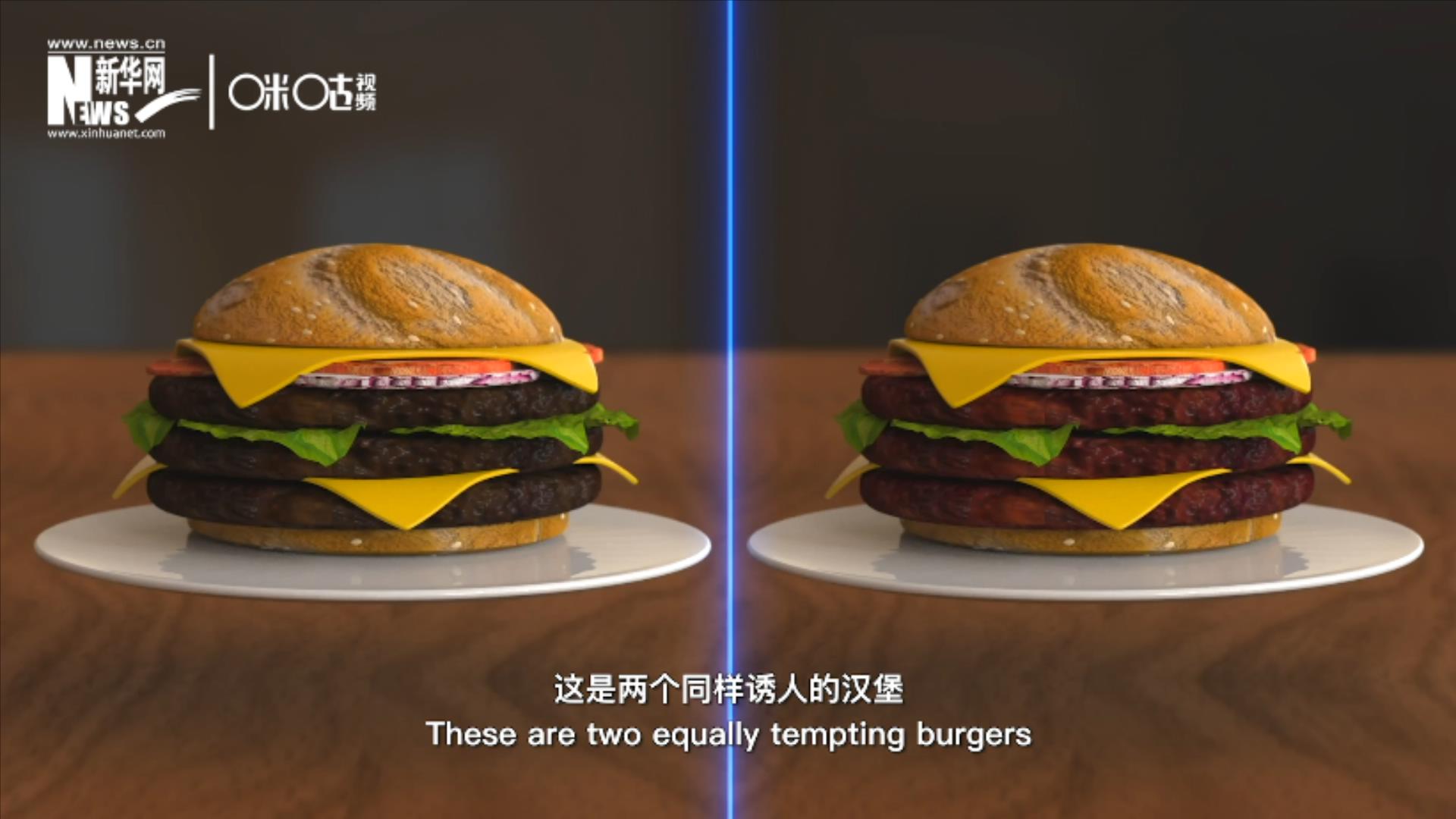 人造肉漢堡能在生產(chǎn)過程中節(jié)約水、土地、排放以及能量