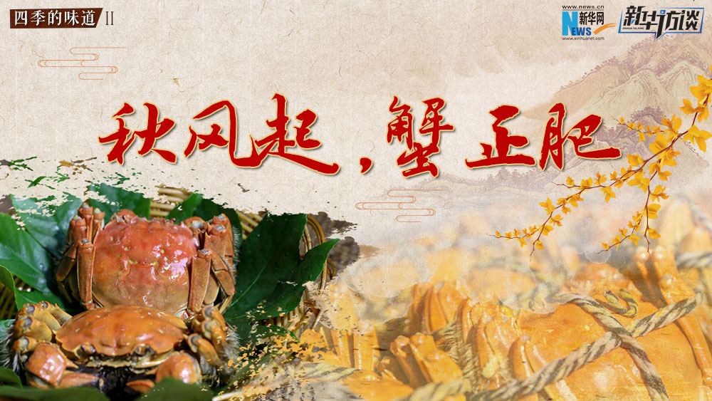 秋風(fēng)起，蟹正肥