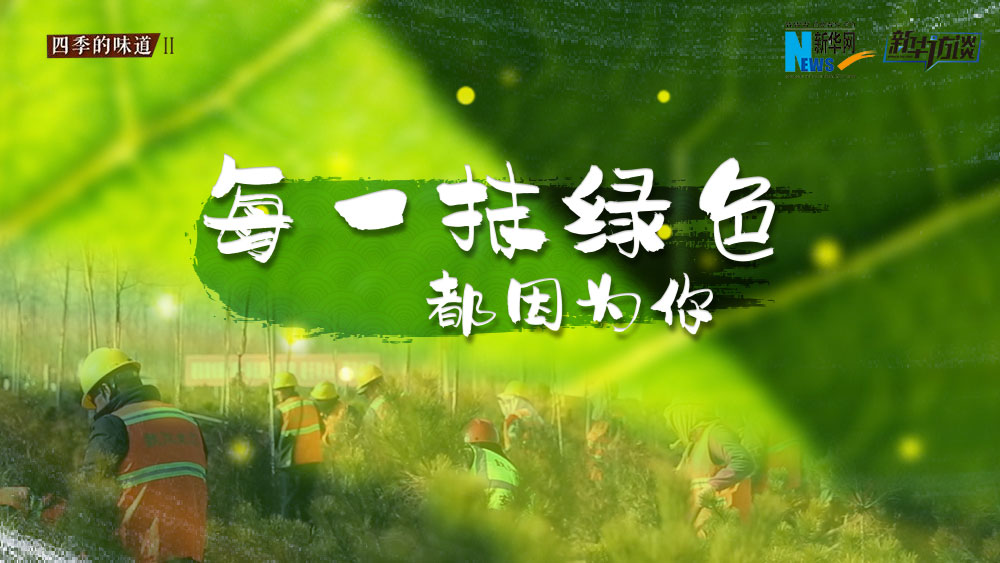千年秀林，每一抹綠色都因為你