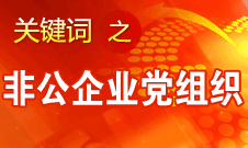 王京清：非公企業(yè)建立黨組織服務(wù)企業(yè)發(fā)展、服務(wù)員工