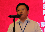 國際旅游投資協(xié)會副會長、巔峰智業(yè)首席顧問劉鋒
