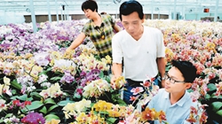 臺(tái)商眼中的改革開放：風(fēng)景這邊獨(dú)好 要去，要去，要去！