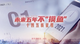 未來(lái)五年，不“摸魚”