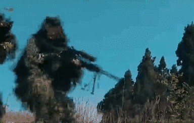 突入，擊斃！直擊武警特戰(zhàn)反劫持演練！