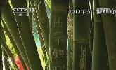 “五一”去哪？：快樂(lè)出行 文明旅游