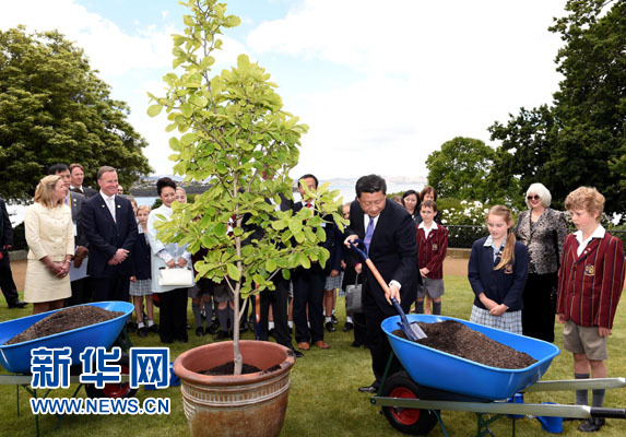 11月18日，國家主席習(xí)近平在澳大利亞塔斯馬尼亞州與朗塞斯頓市斯科奇－歐克伯恩小學(xué)的小學(xué)生共同植樹。新華社記者 饒愛民 攝