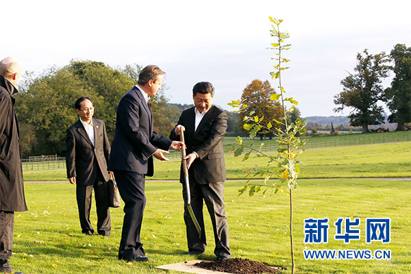 兩國領(lǐng)導(dǎo)人一同在別墅草坪，共同種下象征中英友誼的橡樹。新華社記者 鞠鵬 攝